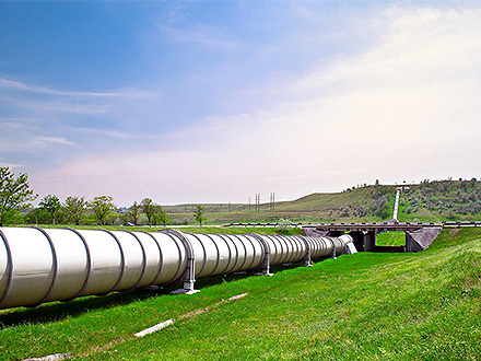 BOB体育官方入口客户案例一